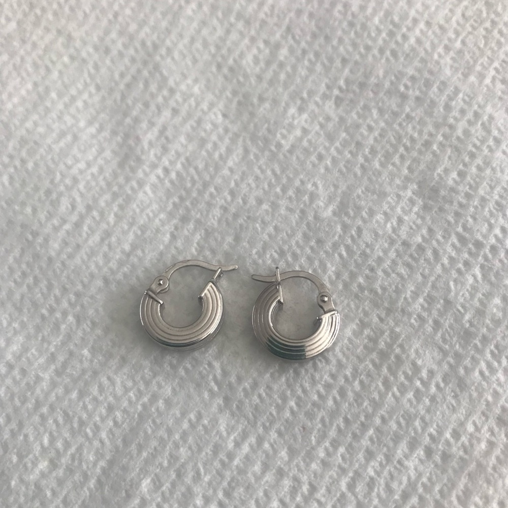 Elegant Silver Hoop Earrings